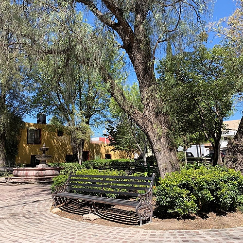 Real Estate Properties in Guadiana San Miguel de Allende